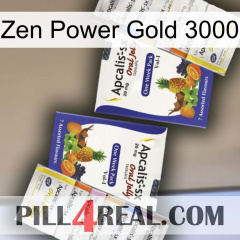 Zen Power Gold 3000 12